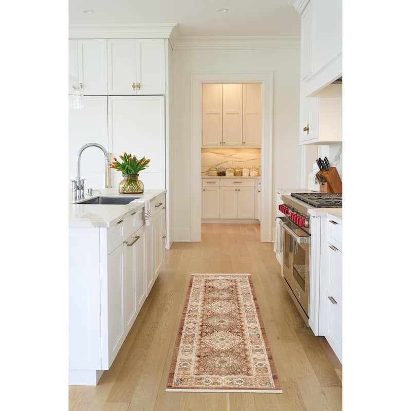 Nourison Pardis Indoor only Brown Persian Area Rug - Rust - 2' x 6'