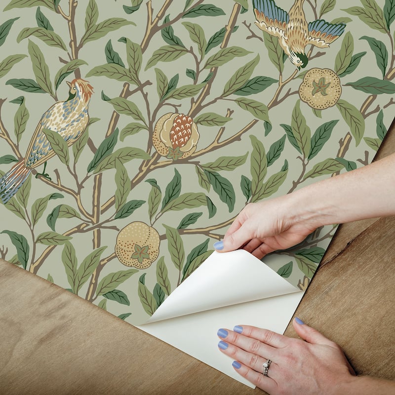 Bird and Pomegranate Bayleaf and Forest Peel and Stick Wallpaper