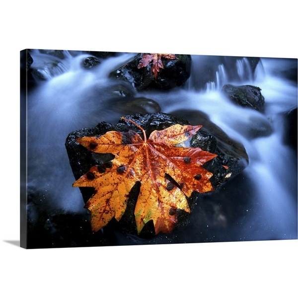 "Leaf on rock in midstream" Canvas Wall Art
