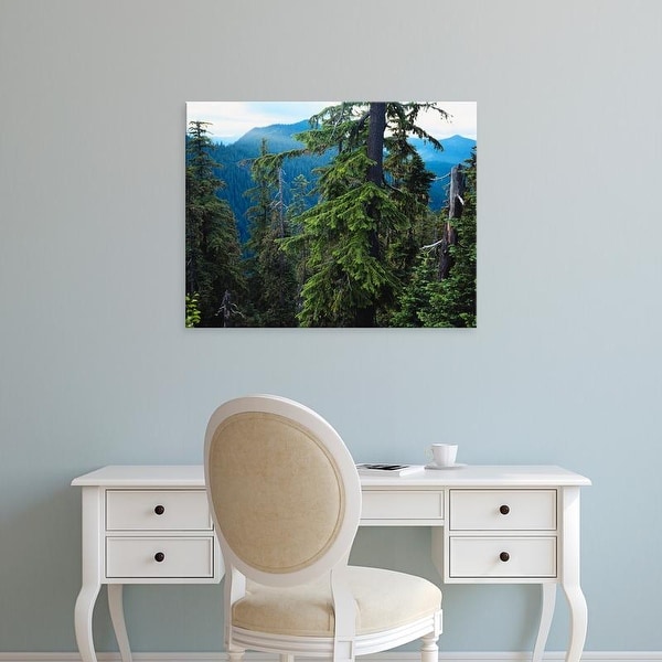 Easy Art Prints Scott T. Smith's 'Opal Creek Wilderness' Premium Canvas Art
