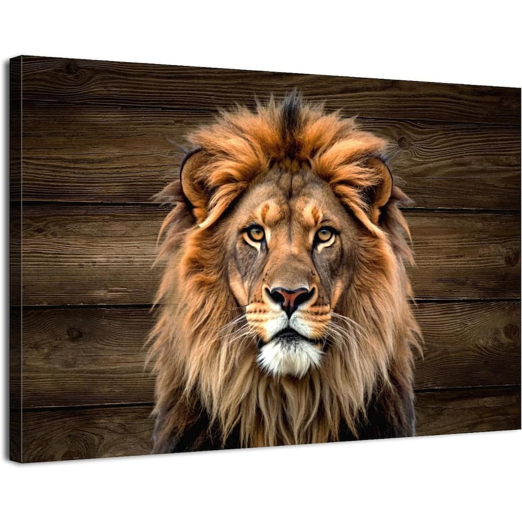Lion Pictures Wall Decor Wildlife Canvas Prints Animal