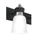preview thumbnail 5 of 4, Copper Grove Muitoa 4-light Brushed Nickel Bath Light