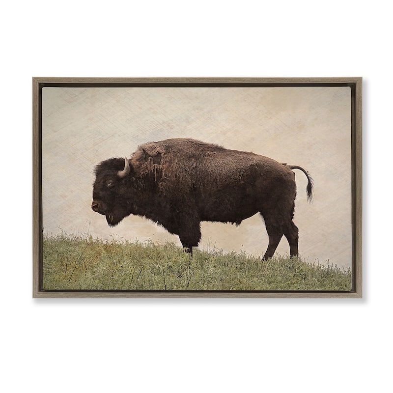 Stupell Serene Buffalo on Country Hill Framed Floater Canvas Wall Art Design By Steve Toole - 25 x 17 - Brown