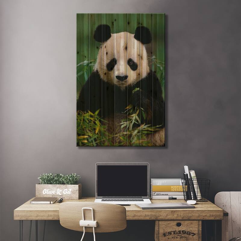 Giant Panda Eating Bamboo, China Print On Wood by Gerry Ellis - Multi-Color