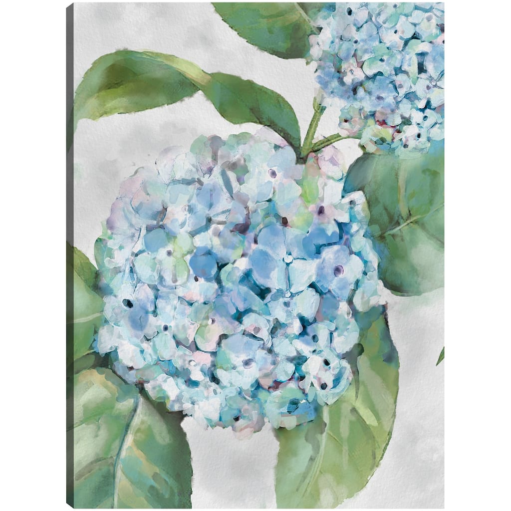 Hydrangea Portraits I By Studio Arts Canvas Art Print