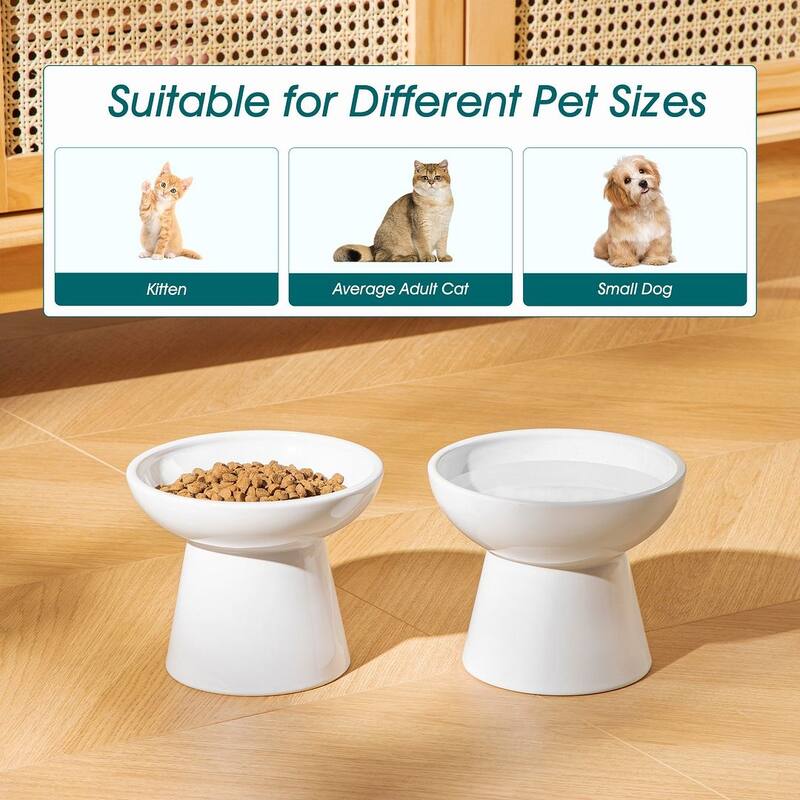 vancasso Elevated Stoneware 2-Piece Raised Dog & Cat Bowl Set