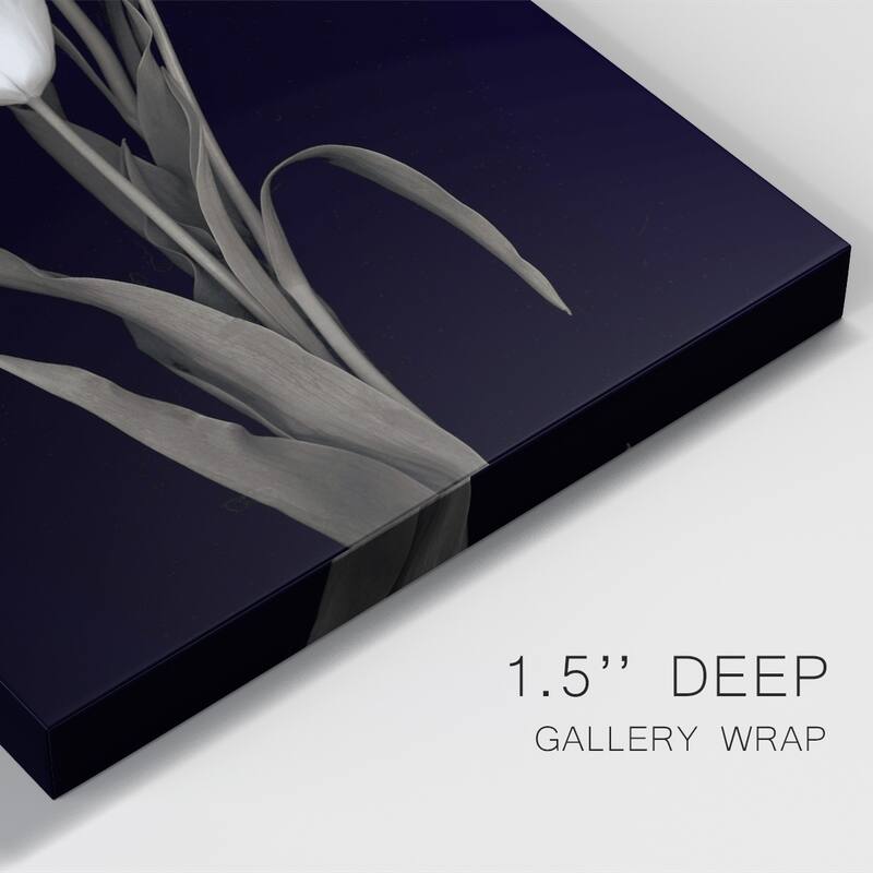 Tulip Pose I Premium Gallery Wrapped Canvas - Ready to Hang