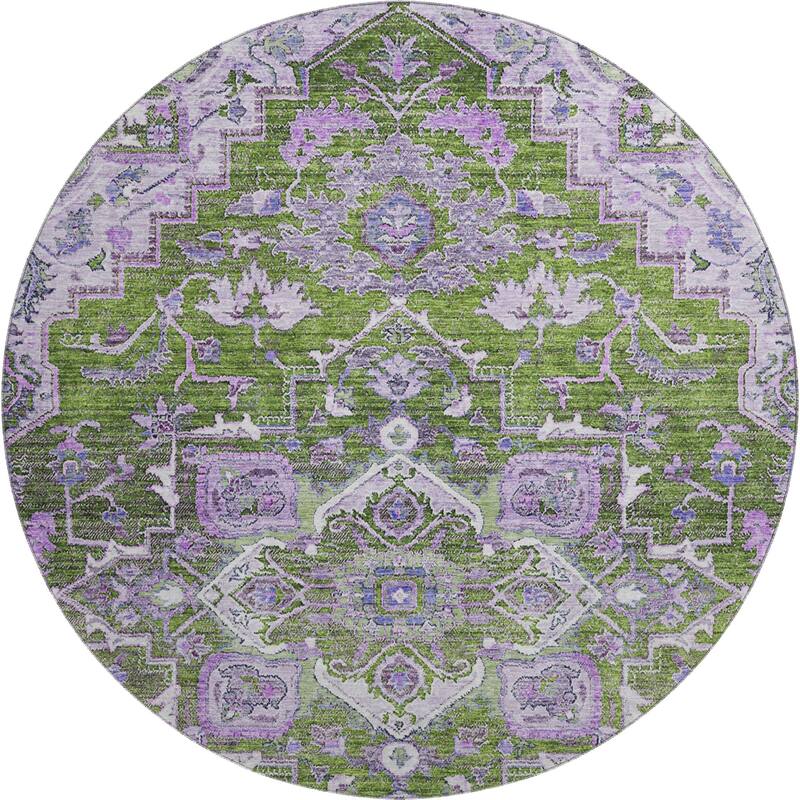 Premium Washable Super Soft Traditional Heriz Mayfield Rug