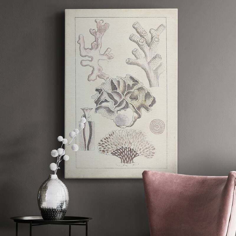 Antique White Coral IV Premium Gallery Wrapped Canvas - Ready to Hang