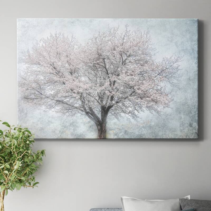 A Feel of Spring II Premium Gallery Wrapped Canvas - Ready to Hang
