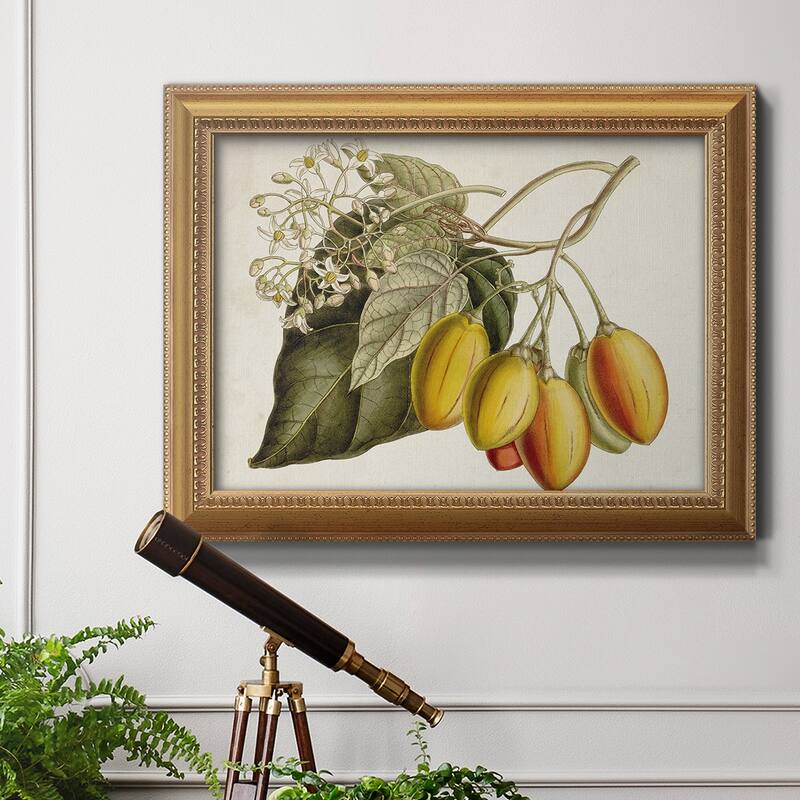 Tropical Foliage & Fruit IV Premium Framed Canvas- Ready to Hang