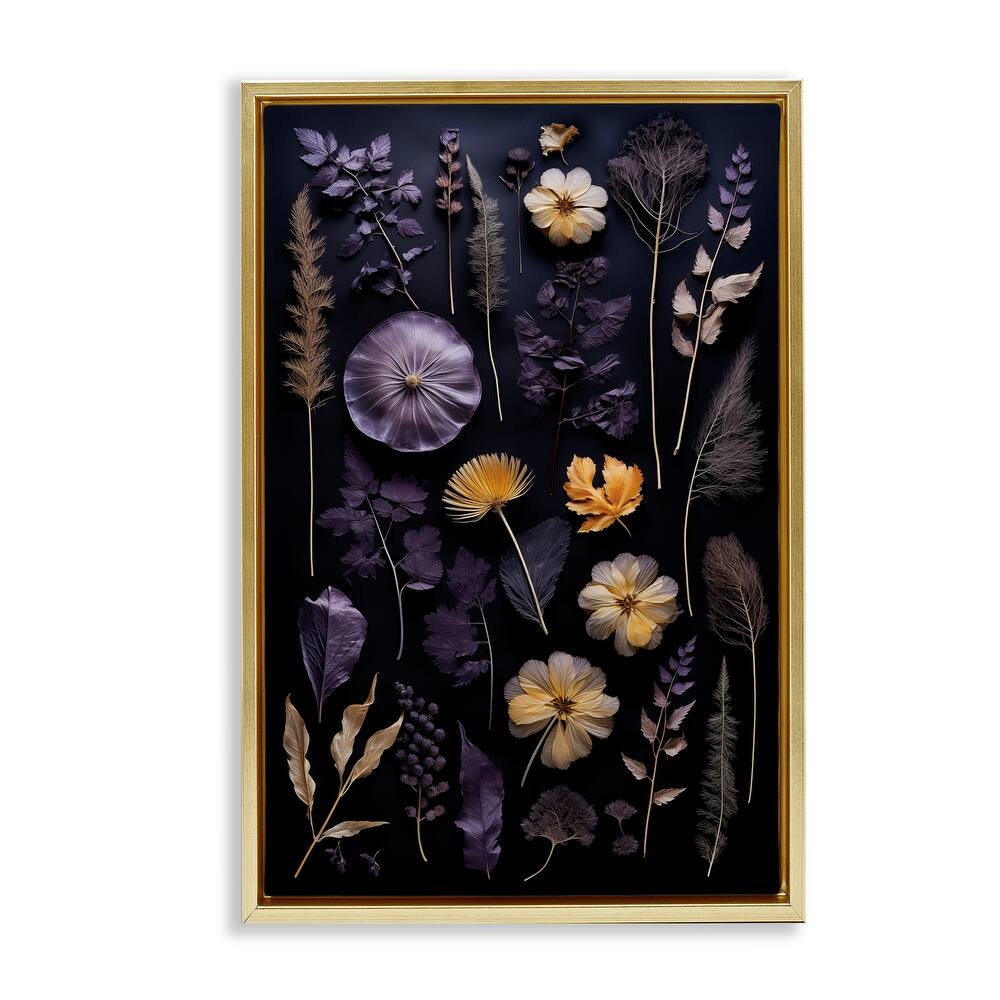 Stupell Flower Specimens on Black Framed Floater Canvas Wall Art Design By Heidi Kuntz
