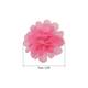 Option Neon Rose