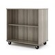 preview thumbnail 16 of 14, Tot Mate Open Double Sided Mobile Storage Locker / Bookcase - 36H