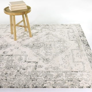 Hilaeira Distressed Traditional Area Rug