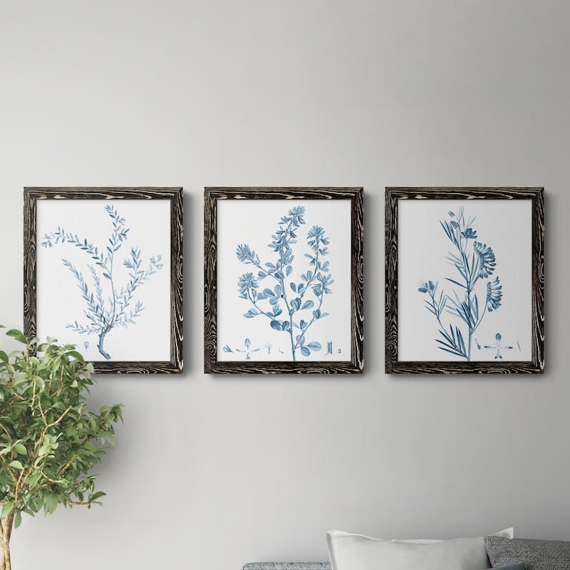Antique Botanical in Blue VII-Premium Framed Canvas - Ready to Hang - Multi-Color