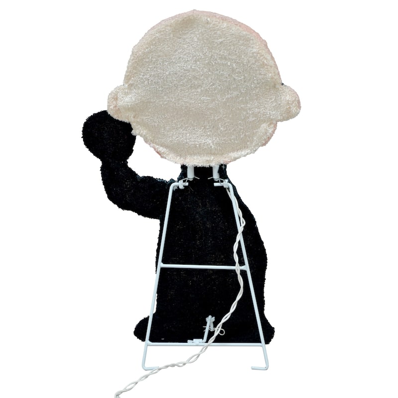 18" Peanuts LED Pre-Lit Charlie Brown Bones