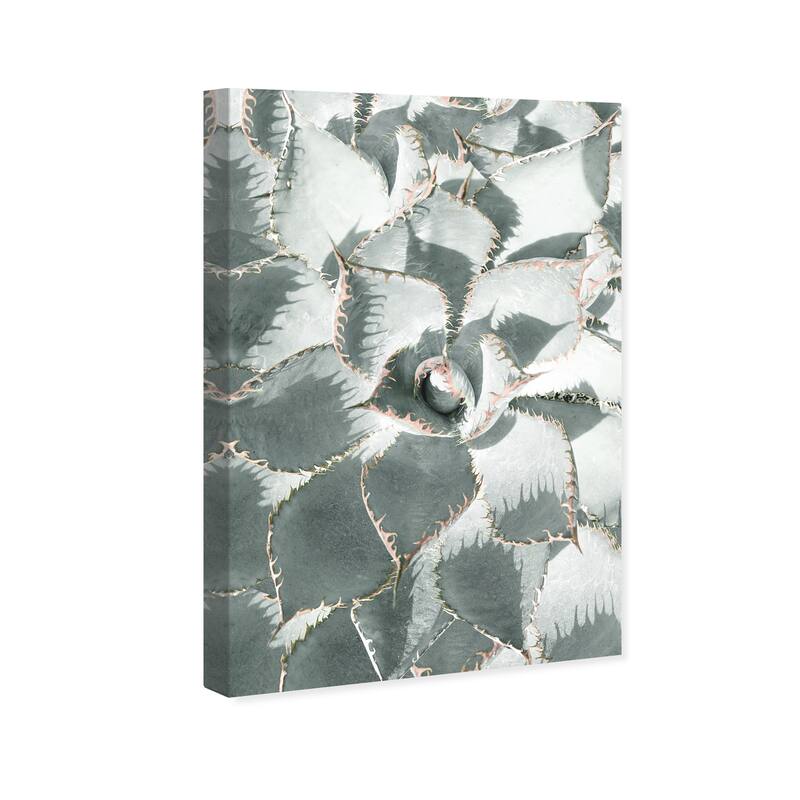 Wynwood Studio Canvas Floral and Botanical Succulent Zoom V Green and Pastel Green Tropical Wall Art Canvas Print