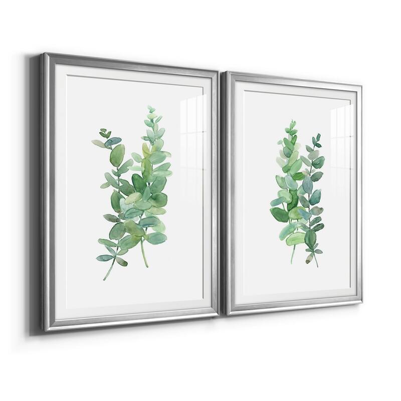 Eucalyptus I Premium Framed Print - Ready to Hang