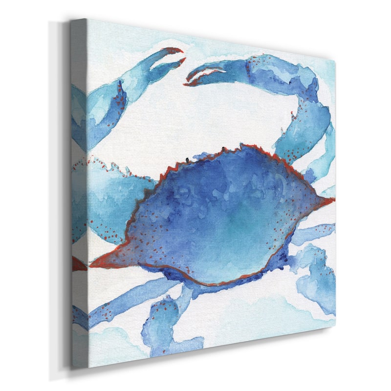 Galapagos Crab-Premium Gallery Wrapped Canvas - Ready to Hang