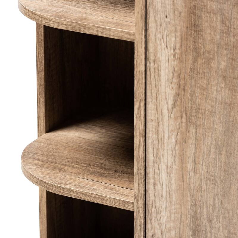 Wales Modern and Contemporary Rustic 2-Door Shoe Storage Cabinet