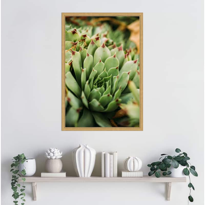 Succulent Whorl by Javier Pardina Framed Canvas Wall Art Print - Sylvie Bright Gold