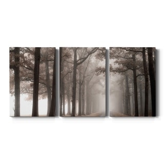 Misty Road- Premium Gallery Wrapped Canvas - Ready to Hang - Bed Bath ...