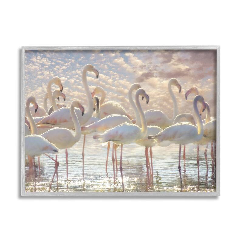 Stupell Pretty Pink White Flamingos Standing Sparkling Water Clouds Framed Wall Art - Multi-Color - 14 x 11 - Grey