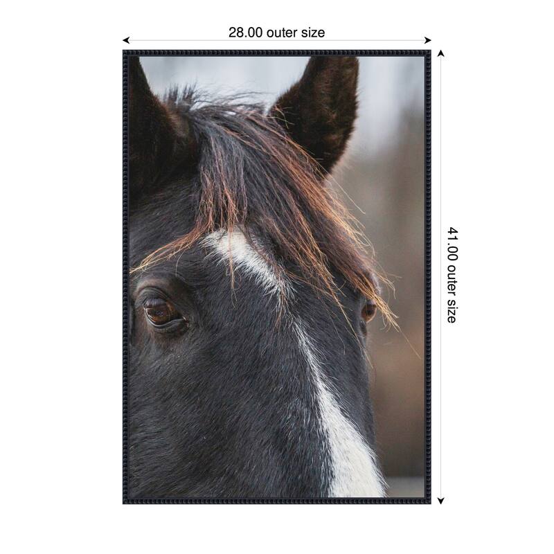 Kate and Laurel Black and White Horse by Emiko and Mark Franzen F2 Images Framed Canvas Wall Art Print