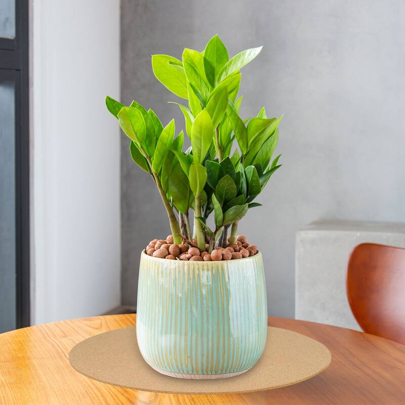 4pcs Cork Coasters, Round Cork Plant Saucers Absorbent Cork Mat - Brown