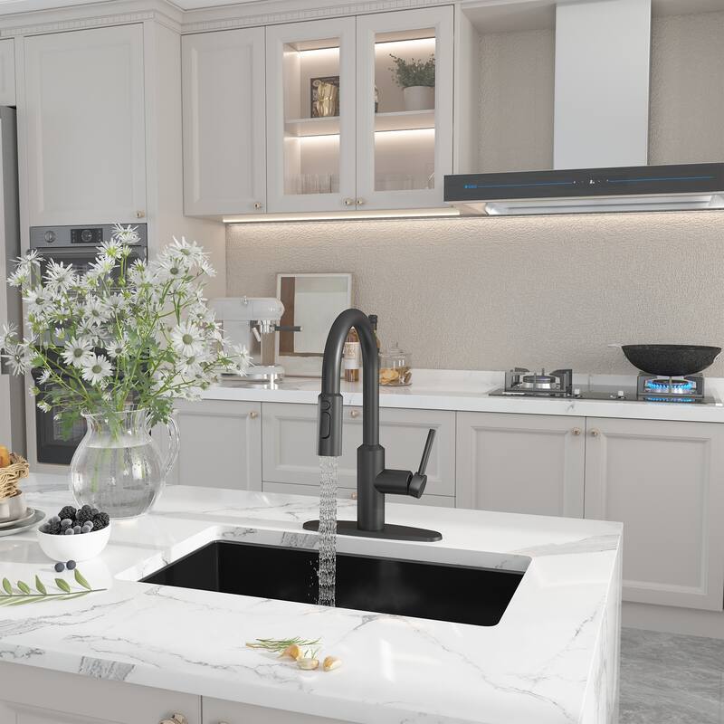 3-Function Single Handle Pull Down Sprayer Kitchen Faucet