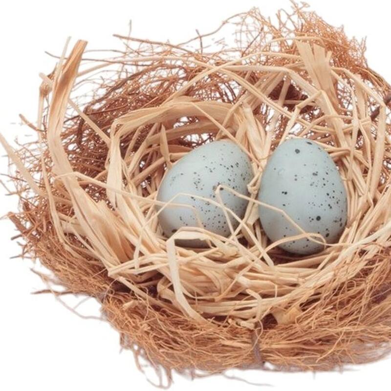 HomeRoots Set of Eight Brown And Blue Decorative Birds Nests With Eggs Sculptures - 2.35 in. x 1.40 in. x 2.45 in.