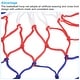 preview thumbnail 4 of 4, 2Pcs 16.9" 5.5mm PP Basketball Hoop Net Replacement Outdoor, White Red Blue