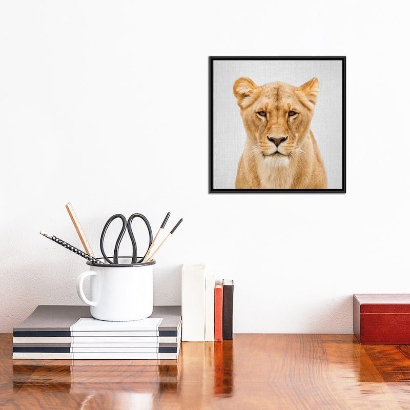 iCanvas "Lioness" by Gal Design Framed Canvas Print