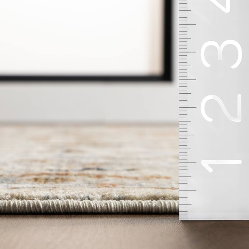 Nuloom Mylah Vintage Medallion Area Rug