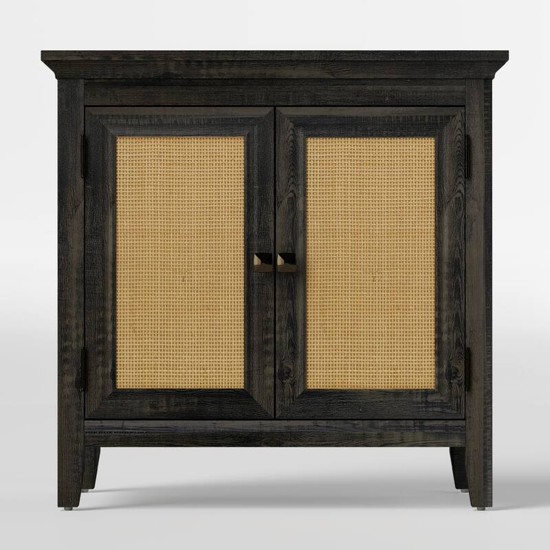 2 Door Rattan Storage Cabinet