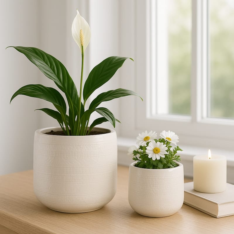 Clay Decorative Planters Dots Lines Modern (Set of 2) - 10" White - 12" x 12" x 10"