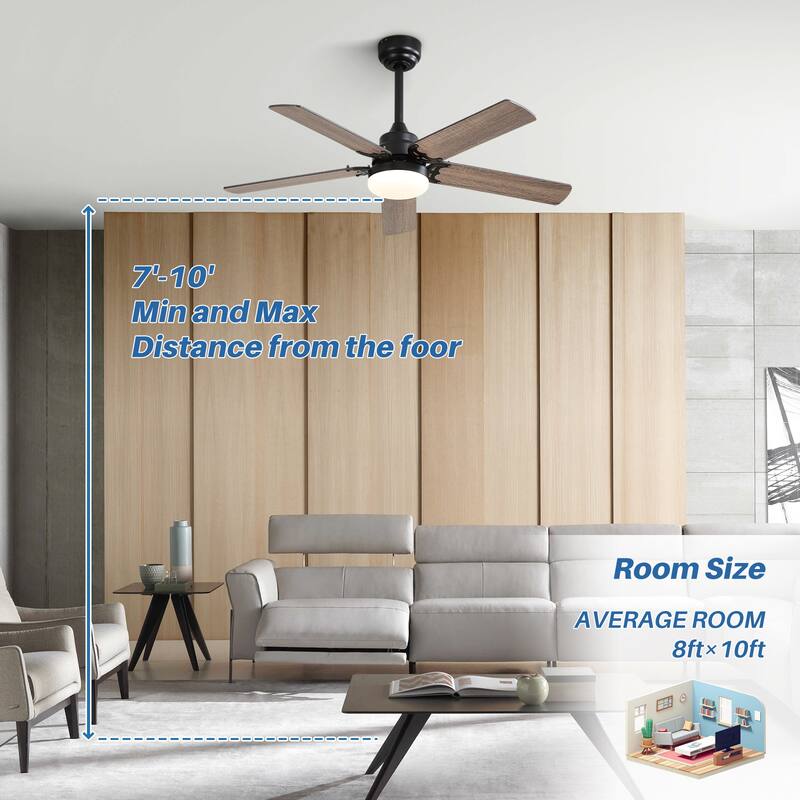 42-inch Flush Mount and Downrod Mount Ceiling Fan with Light and Remote, 5 Plywood Blades - 42 Inch diameter