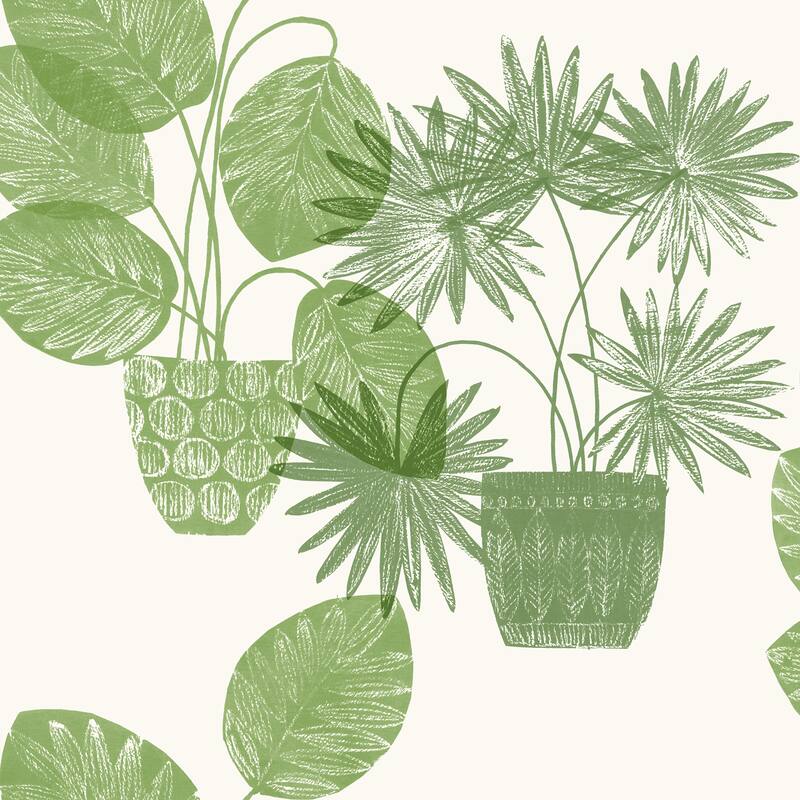 A-Street Prints Aida Green Potted Plant Wallpaper