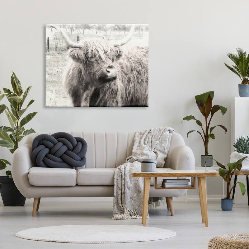 Stupell Rustic Farm Highland Cattle Cow Monochrome Photography Canvas Wall Art, Design by Graffitee Studios