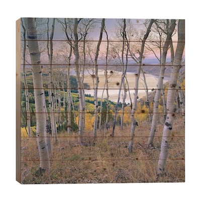 Aspen Forest Overlooking Fremont Lake, Bridger-Teton National Forest, Wyoming I Print On Wood by Tim Fitzharris - Multi-Color