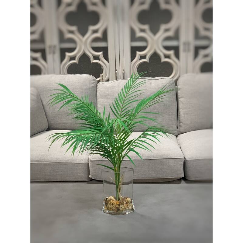 Areca Palm in Vase with Rocks and Acrylic Water - Green
