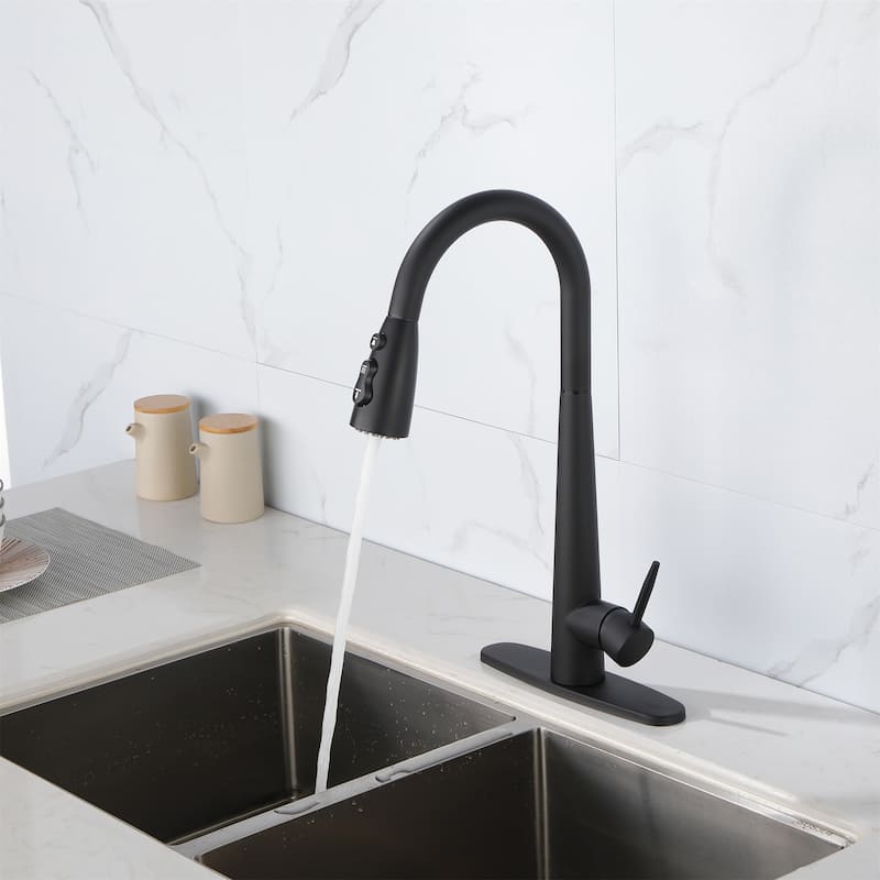 Kitchen Faucet with Pull Down Sprayer Stainless Steel