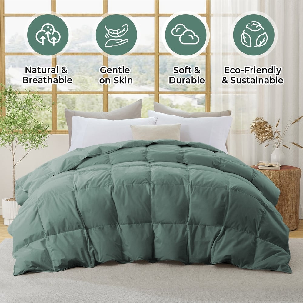 Medium Warmth 300TC Organic Cotton Down Comforter - 100% Natural, Chemical-Free, All Season Duvet Insert