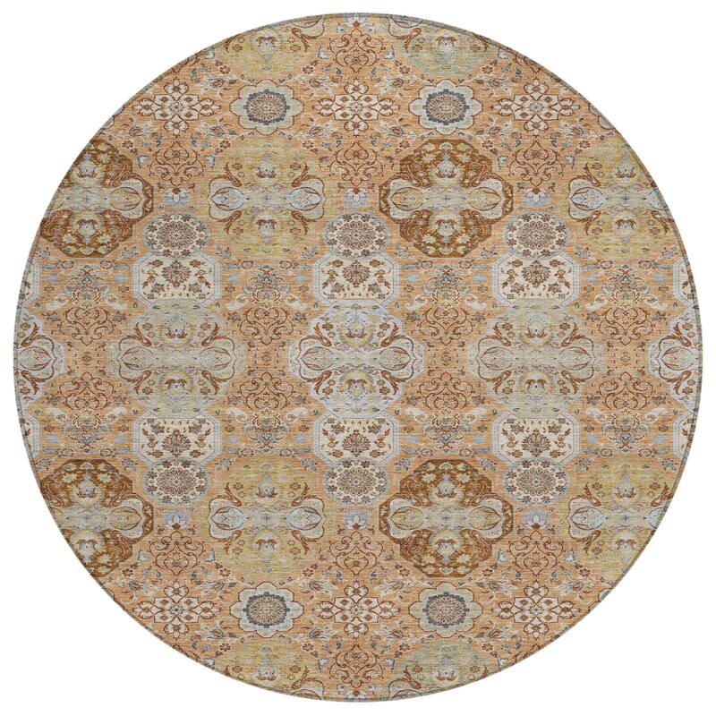 Machine Washable Indoor/ Outdoor Traditional Tracey Chantille Rug