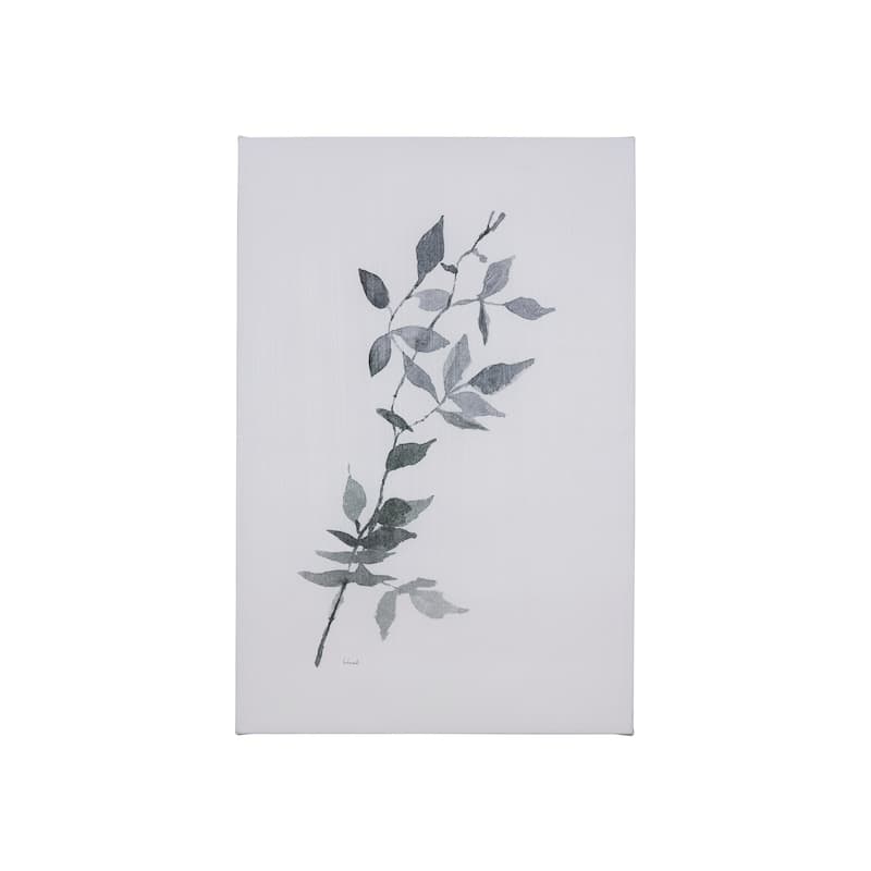 Leaf Shadow I (24 x 36 ) Canvas Art Print - Small