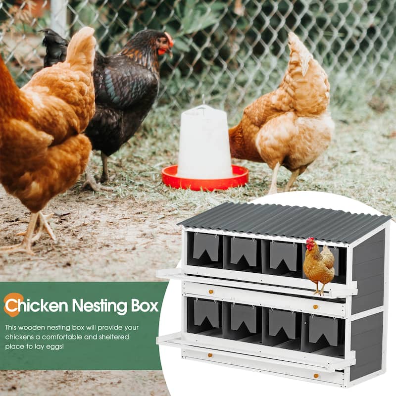 Roomfitters Wooden Chicken Nesting Box, 8 Compartments for Egg Laying with Rollout Collection, Chicken Coop for Hens