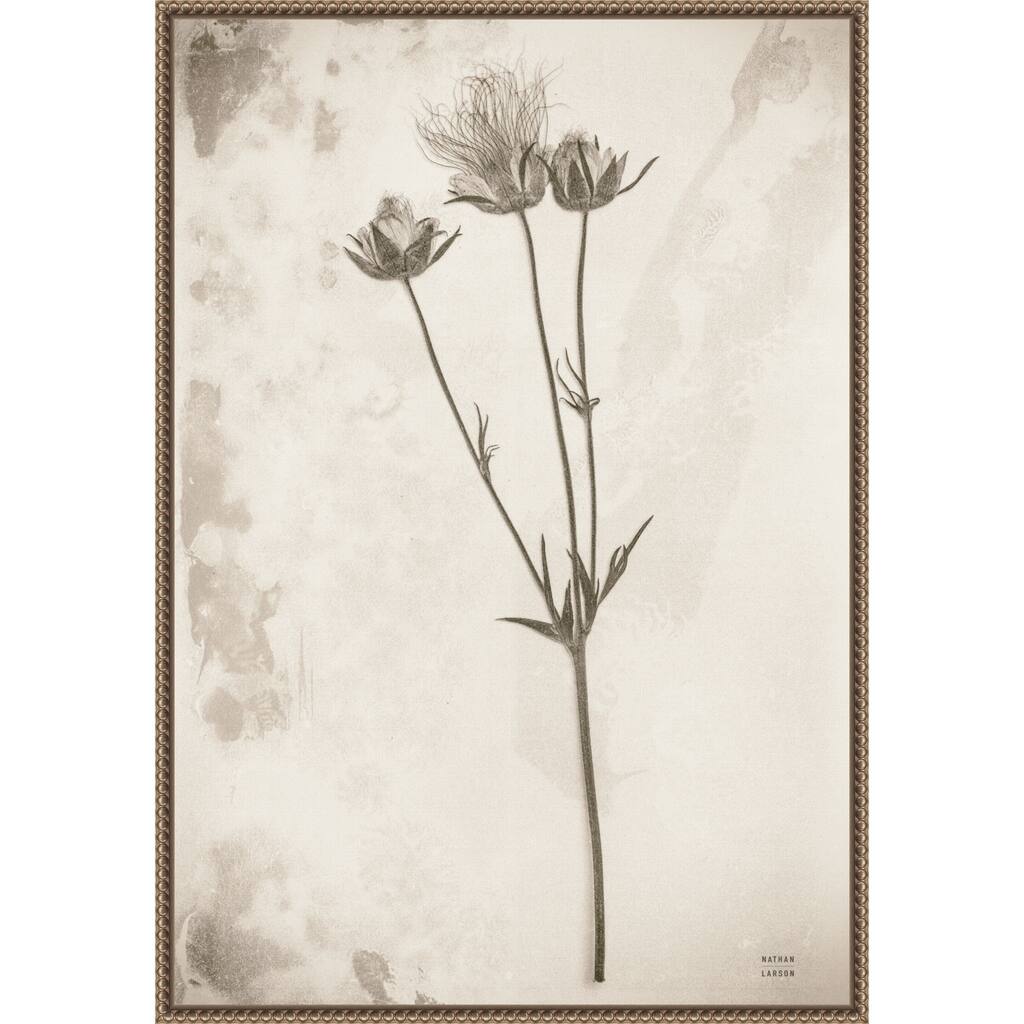 Wildflower Journal Vintage No. 8 by Nathan Larson Framed Canvas Wall Art Print