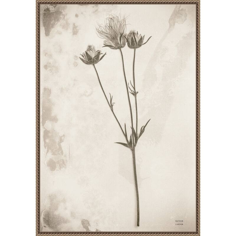 Wildflower Journal Vintage No. 8 by Nathan Larson Framed Canvas Wall Art Print