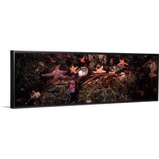 Shop Tide Pool Pacific Ocean Ca Black Float Frame Canvas Art